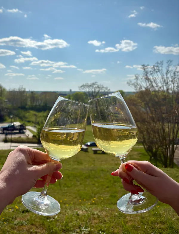 stemware, tableware, drinkware, wine glass, alcoholic drink, champagne glass