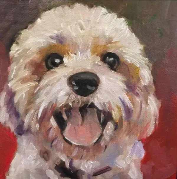 dog, carnivores, snout, toy dog, watercolor painting, terrier