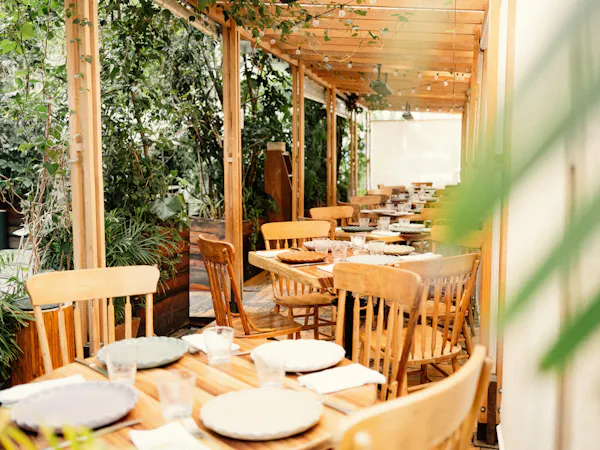 table, tableware, furniture, plant, chair, wood
