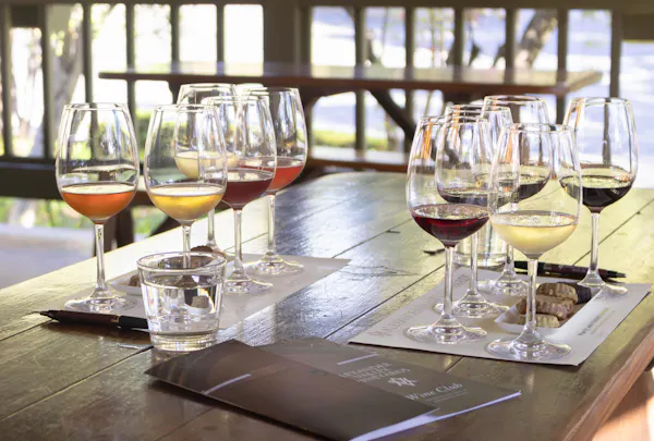 stemware, tableware, alcoholic drink, barware, drinkware, wine glass