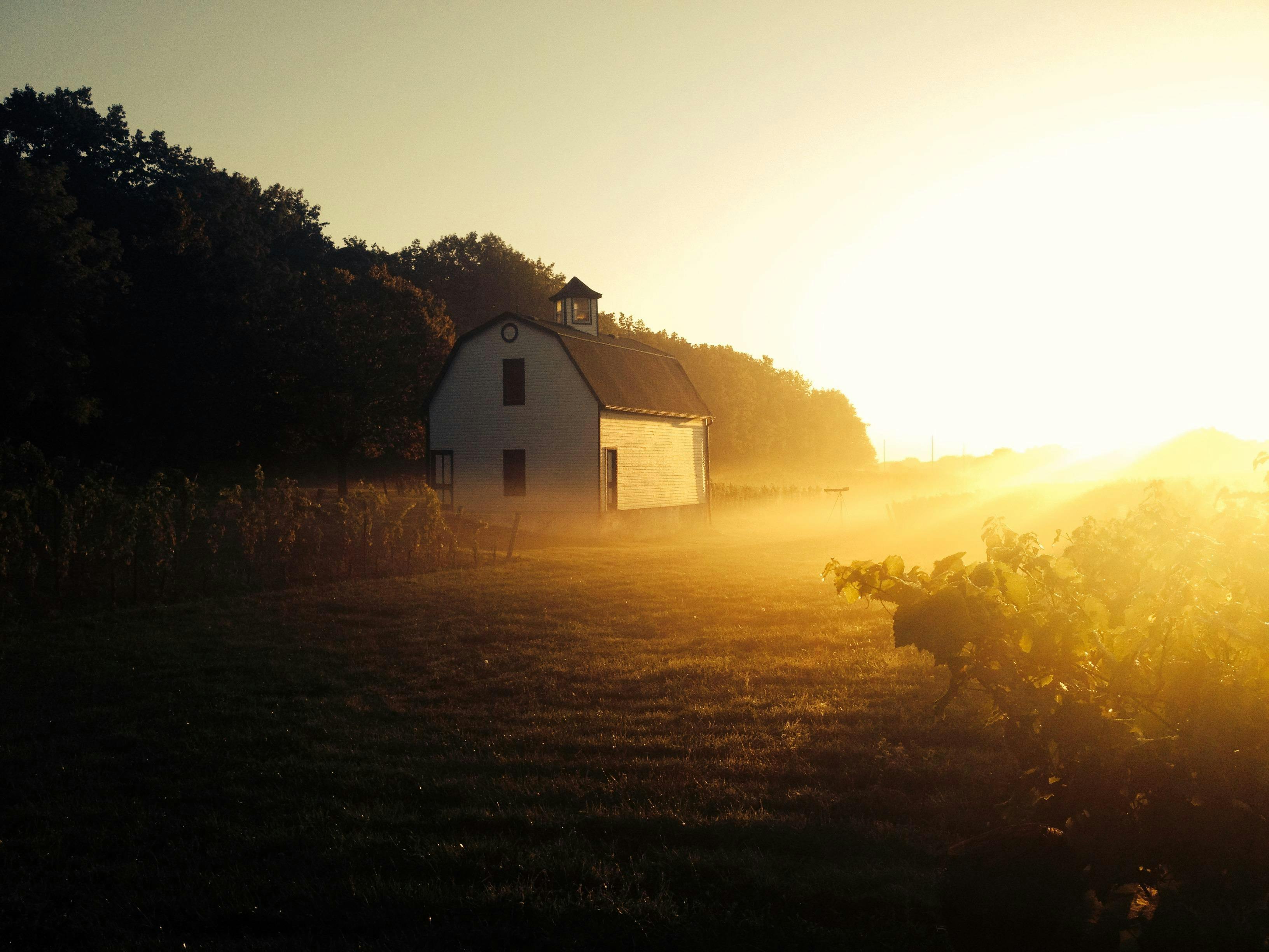 Hidden Bench Estate Winery