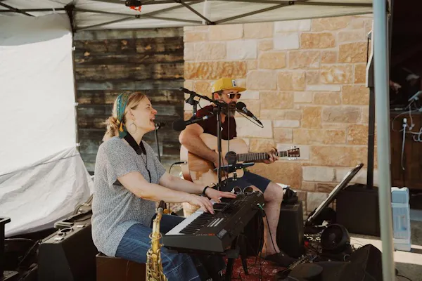 musical instrument, audio equipment, music, performing arts, entertainment, performance