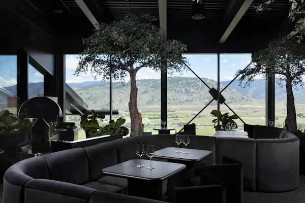 table, furniture, property, sky, plant, couch
