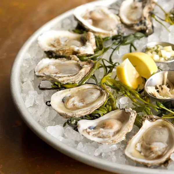 food, tableware, oyster, seafood, ingredient, bivalvia