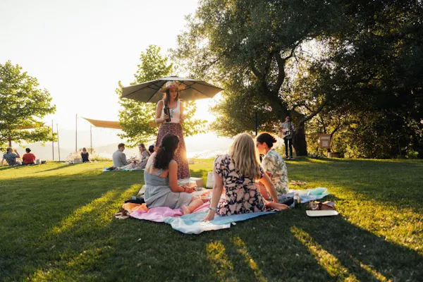 grass, summer, recreation, leisure, picnic, outdoor recreation