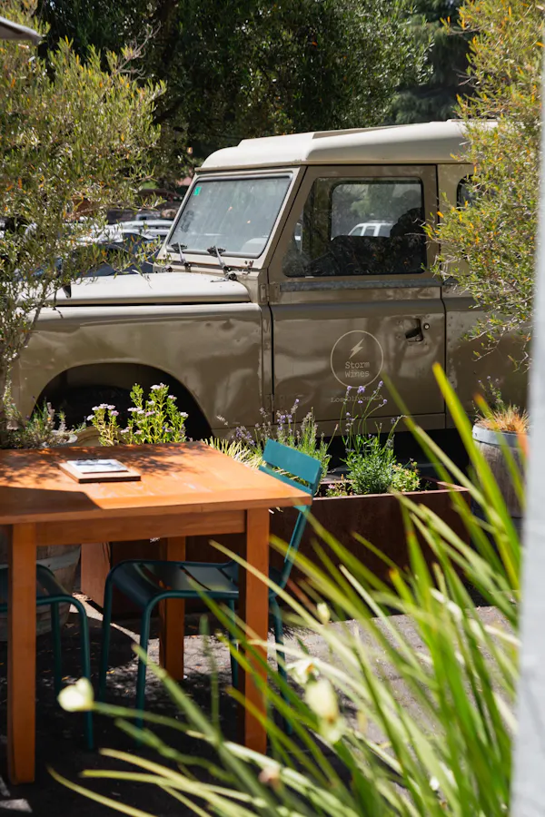 garden, fender, flowerpot, houseplant