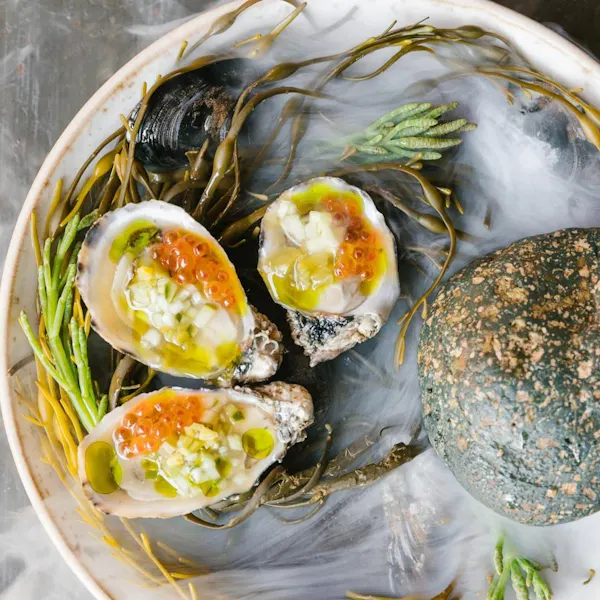 food, ingredient, seafood, bivalvia, recipe, oyster