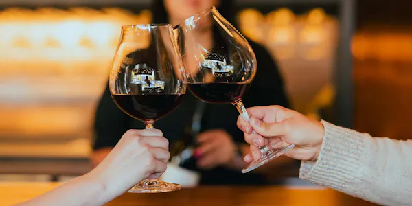 stemware, tableware, drinkware, wine glass, alcoholic drink, barware