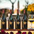 DeLoach Vineyards