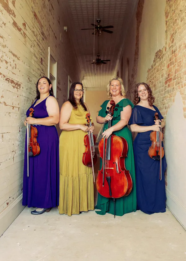 string instrument, violin family, chordophone, bowed string instrument, cello, dress