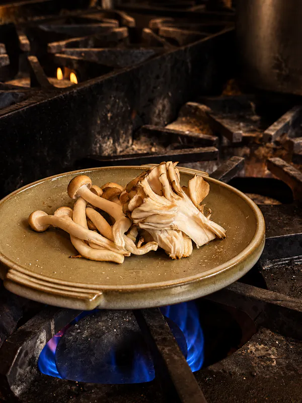 ingredient, cookware and bakeware, food, mushroom, cooking, recipe