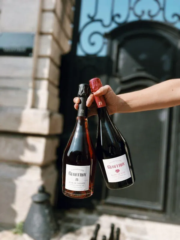 bottle, alcoholic drink, glass bottle, alcohol, wine bottle, liquid