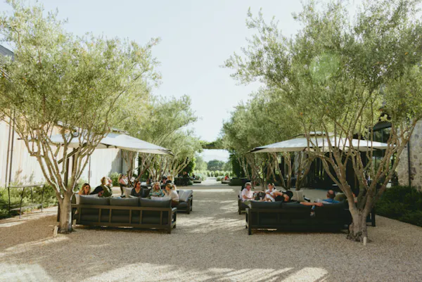shade, landscaping