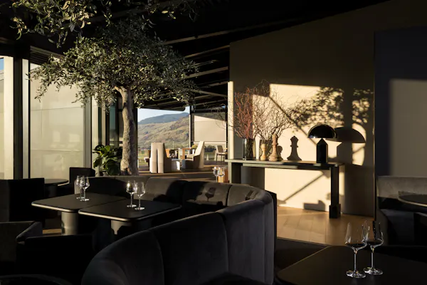 table, plant, chair, building, real estate, house