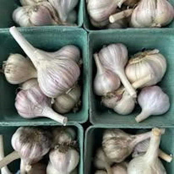produce, ingredient, garlic, natural foods, food, elephant garlic