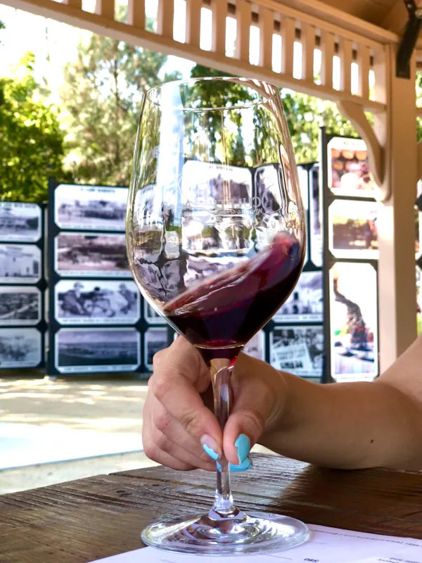 tableware, stemware, drinkware, barware, wine glass, wine