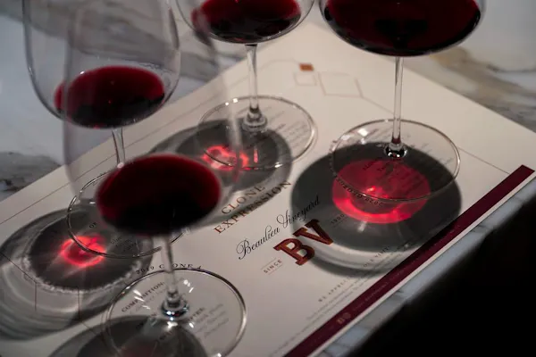 tableware, stemware, drinkware, wine glass, burgundy wine, wine