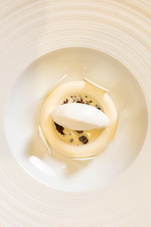 food, dishware, culinary arts