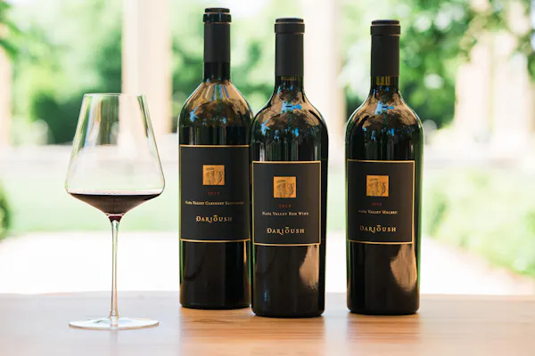 bottle, alcoholic drink, alcohol, wine, glass bottle, wine bottle