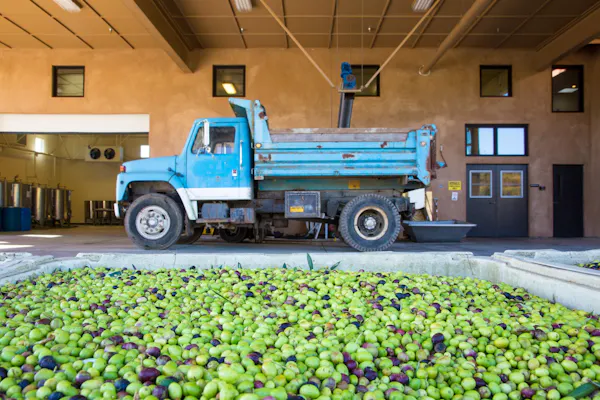 commercial vehicle, truck, automotive wheel system, produce, natural foods