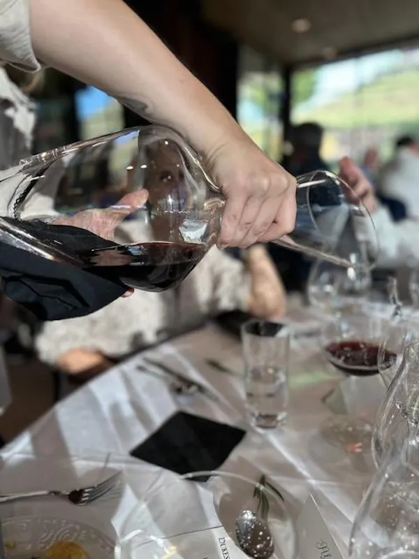 stemware, drinkware, tableware, barware, glass, wine glass