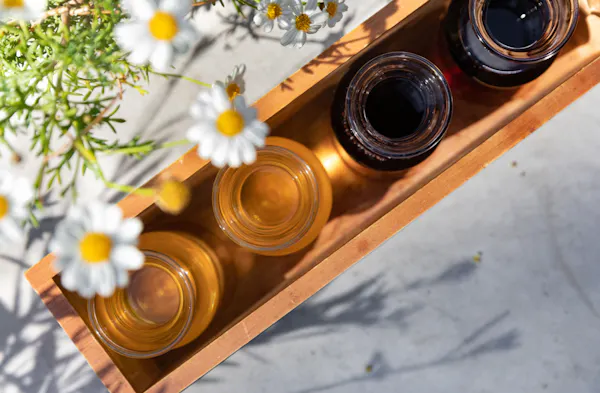 flower, plant, wood, camera lens, petal, twig