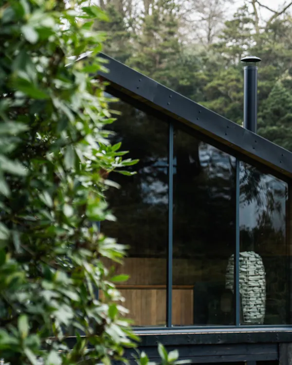 natural material, shade, conifers