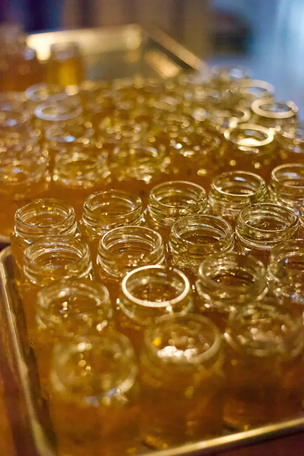 liquid, glass, gold, alcoholic drink, mead, liquor
