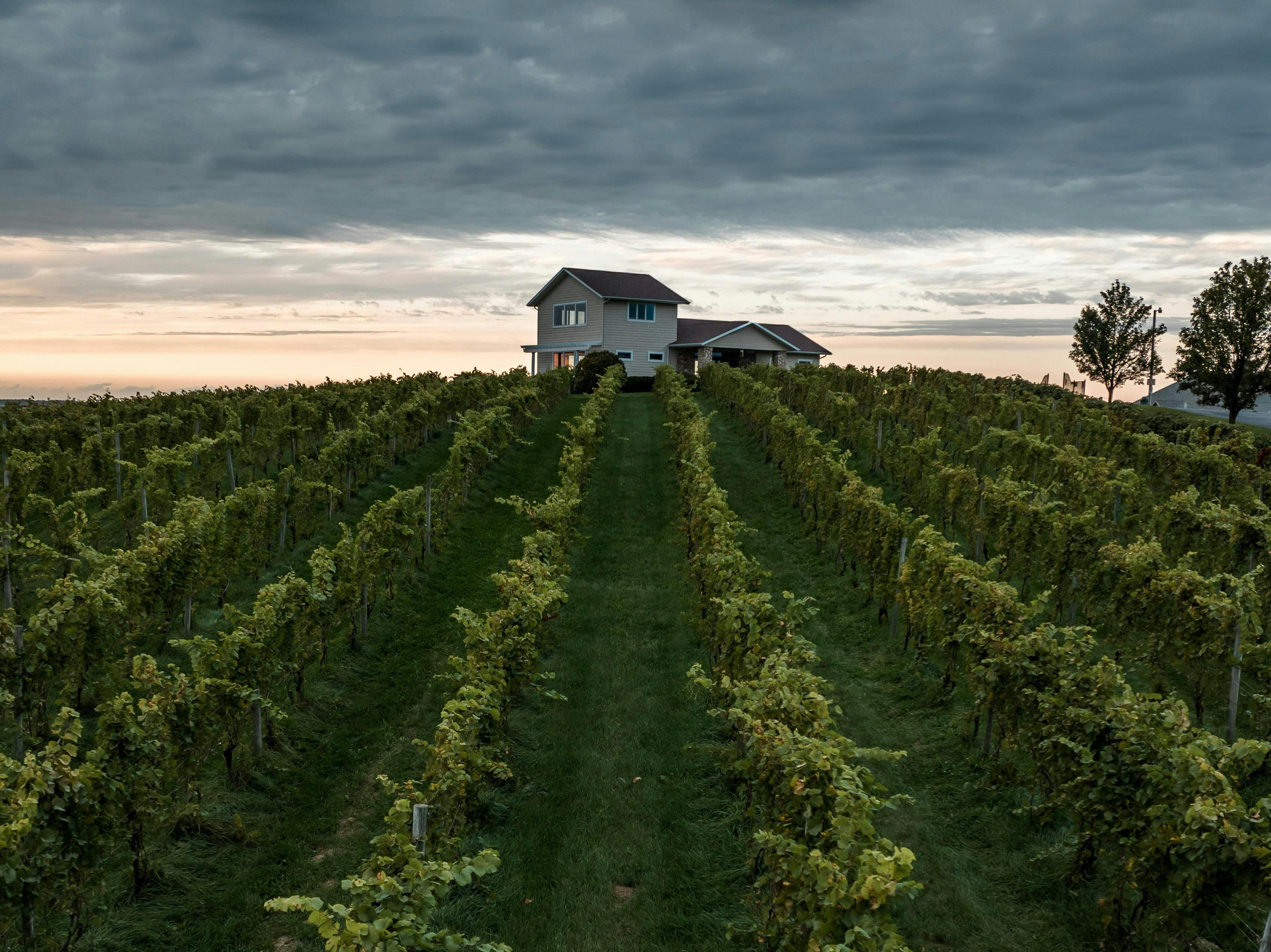 Filkins Vineyards