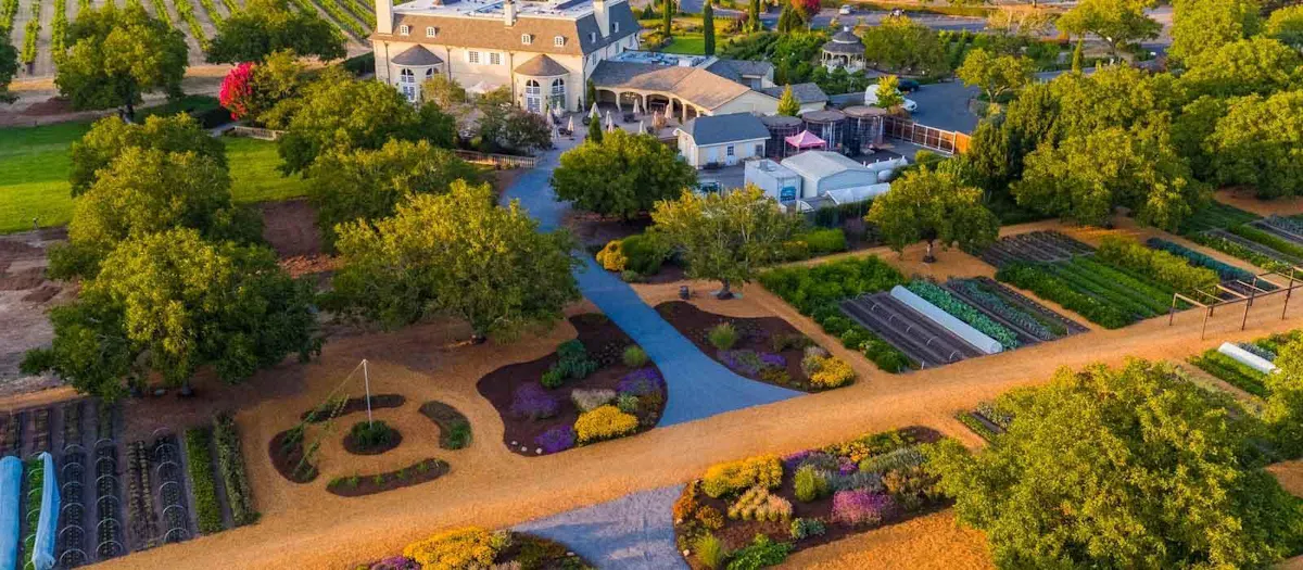 plant, flower, property, building, nature, green