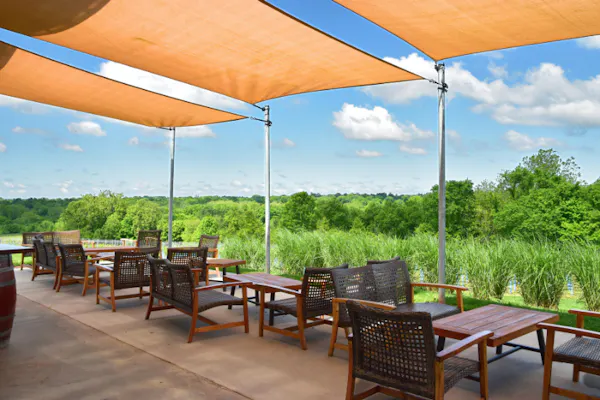sky, table, plant, property, furniture, cloud