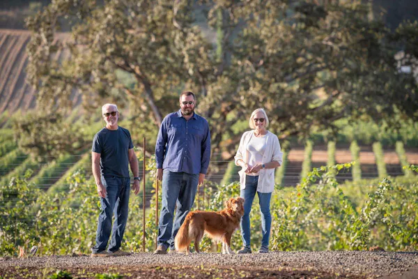 dog, agriculture, people in nature, plantation, leisure, field