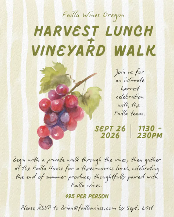 grapes, natural foods, grape, fruit, grapevines