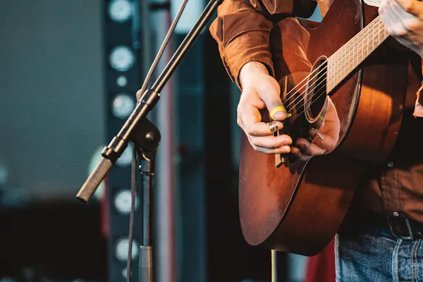 microphone, musical instrument, musician, guitar accessory, string instrument accessory, concert