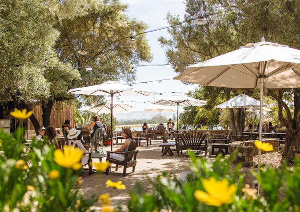 tree, furniture, outdoor furniture, umbrella, spring, shade