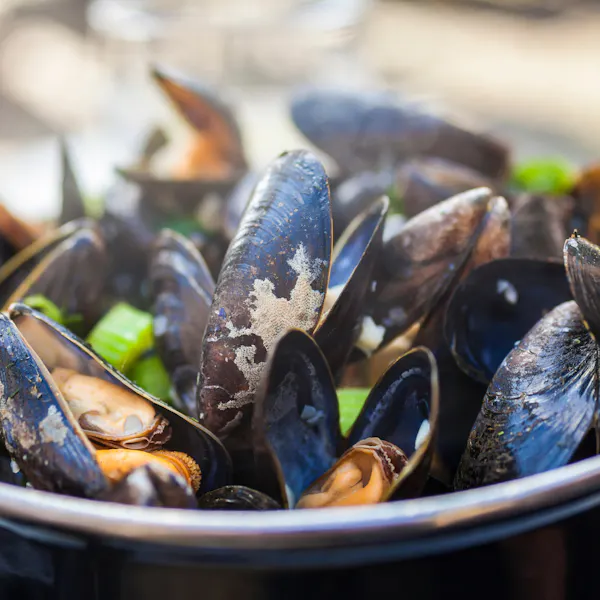 food, bivalvia, seafood, shellfish, mussel, recipe