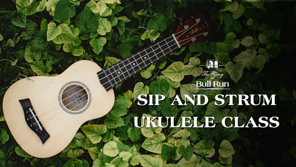 chordophone, string instrument, musical instrument, plucked string instrument, guitar, acoustic guitar
