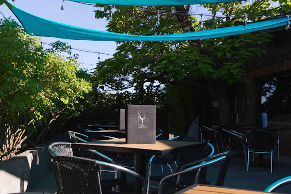 furniture, table, nature, plant, shade, chair
