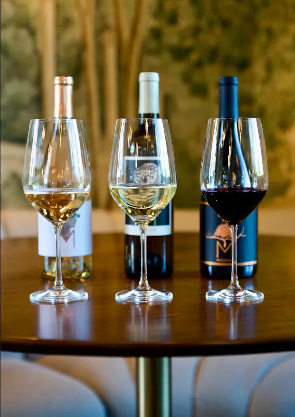 stemware, tableware, drinkware, wine glass, alcoholic drink, barware