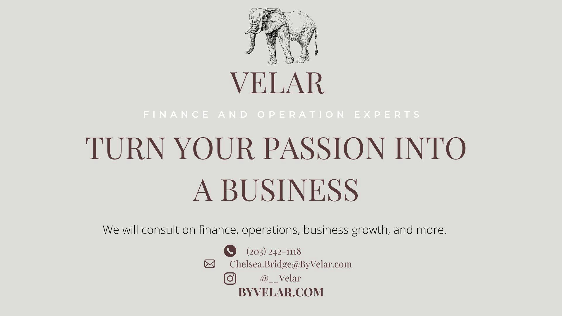 Velar Finance and Operation Experts