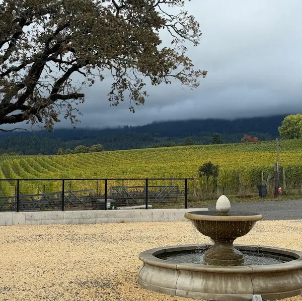 agriculture, plantation, vineyard