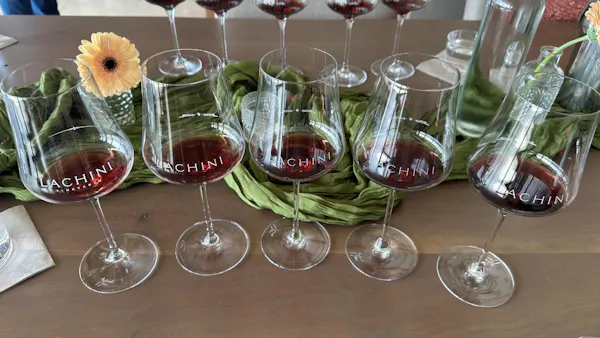 stemware, tableware, drinkware, alcoholic drink, barware, wine glass