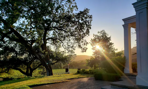 nature, landscape, sunlight, morning, garden, evening
