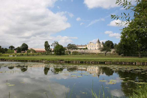 plants, landscape, bank, estate, château, reflection