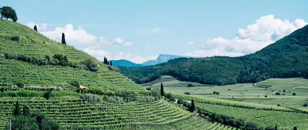 mountainous landforms, mountain, hill, highland, natural landscape, plantation