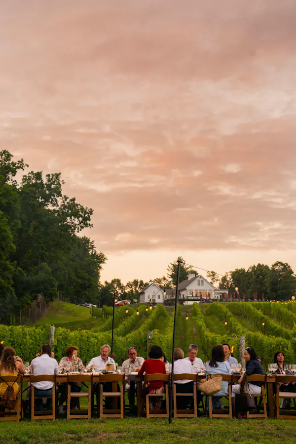 recreation, spring, leisure, agriculture, plantation, park