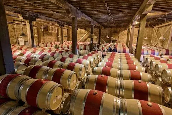 barrel, winery, wine cellar
