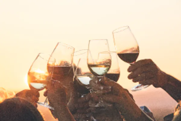 drinkware, stemware, tableware, wine, barware, wine glass