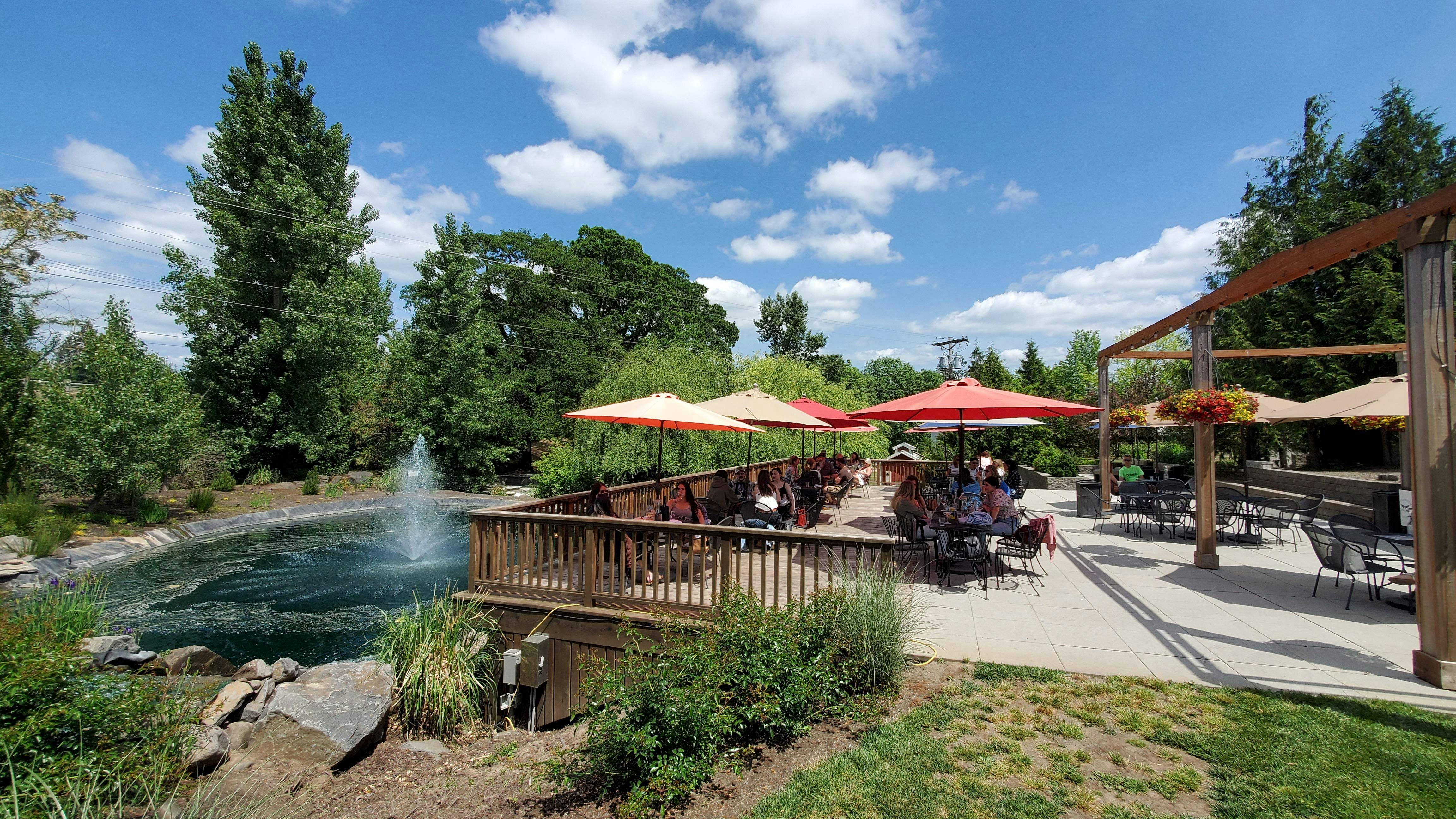 Aurora Vineyards