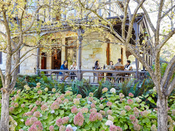 spring, garden, shade, yard